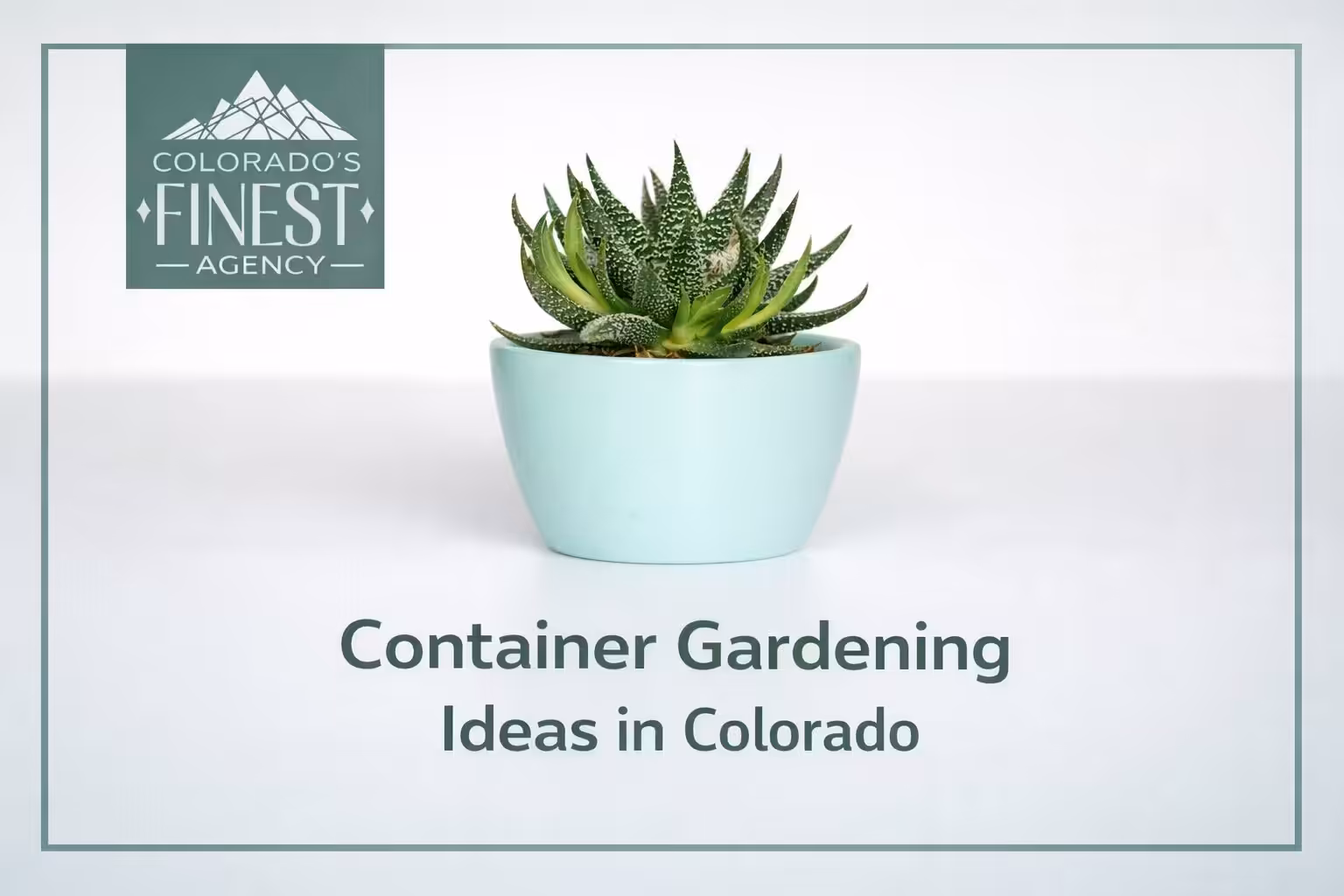 Container Gardening Ideas in Colorado – 2026 guide for indoor and herb container gardens