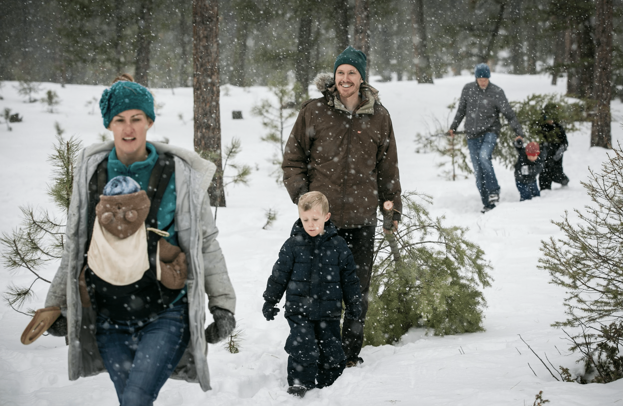 People in forest Colorado Springs Local Experts – Colorado Finest Agency