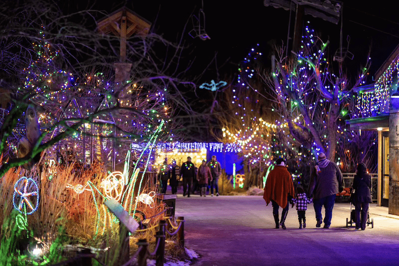 Tree lights Colorado Springs Local Experts – Colorado Finest Agency